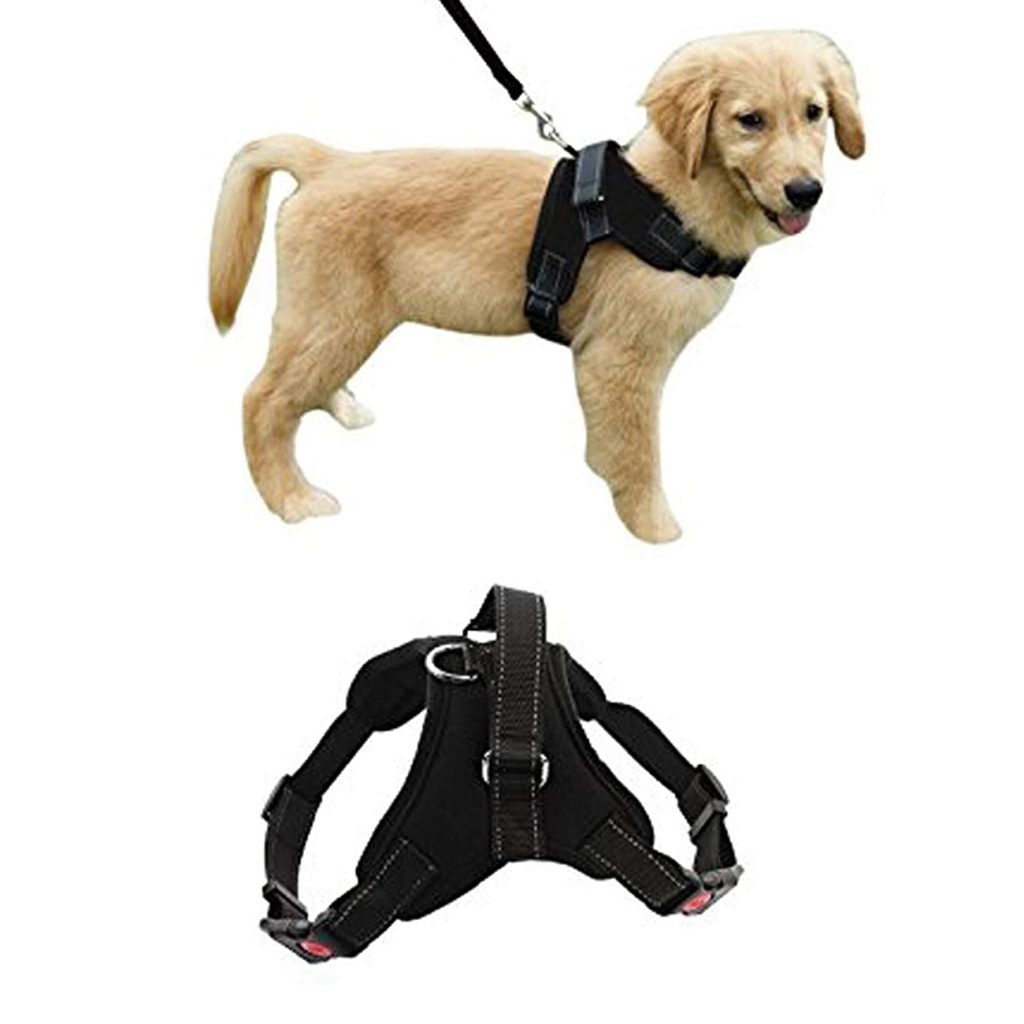 Acasa 16 61NN13gae L. AC SL1500