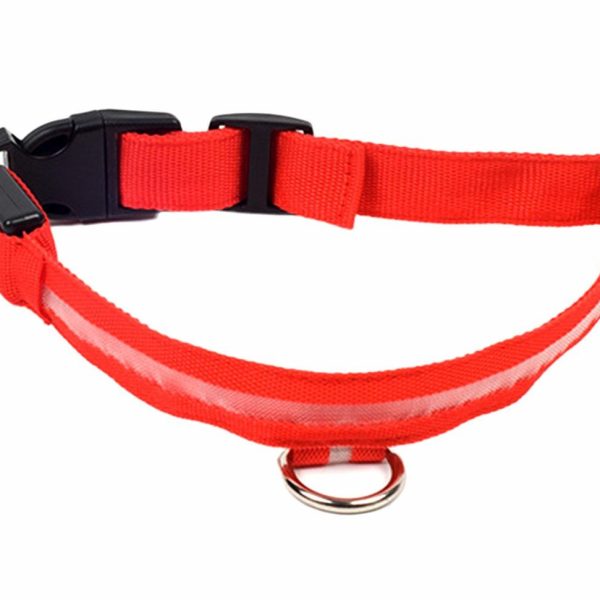 Zgarda iluminata cu LED Rosu, pentru caine sau pisica, AVX-AG232R