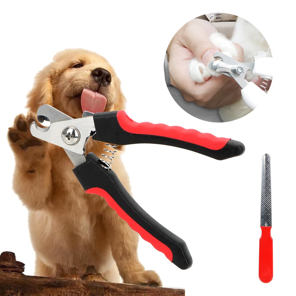 trgtyuimmyui.jpg Set Cleste si Pila pentru intretinere unghii Caini si Pisici - imagine 1