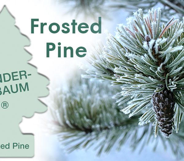 Odorizant Auto Wunder-Baum®, Frosted Pine
