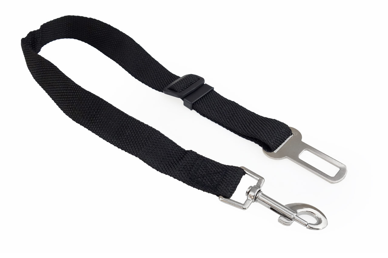 2_6i8q-kq.jpg Centura de siguranta pentru animale de companie - imagine 1