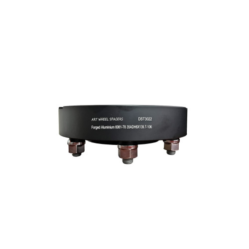 Acasa 12 IMG 8610 500x500 10