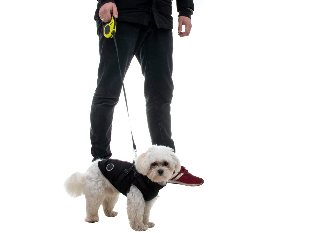 Lesa Retractabila Automata 3m lungime pentru caini de pana la 8kg - imagine 6