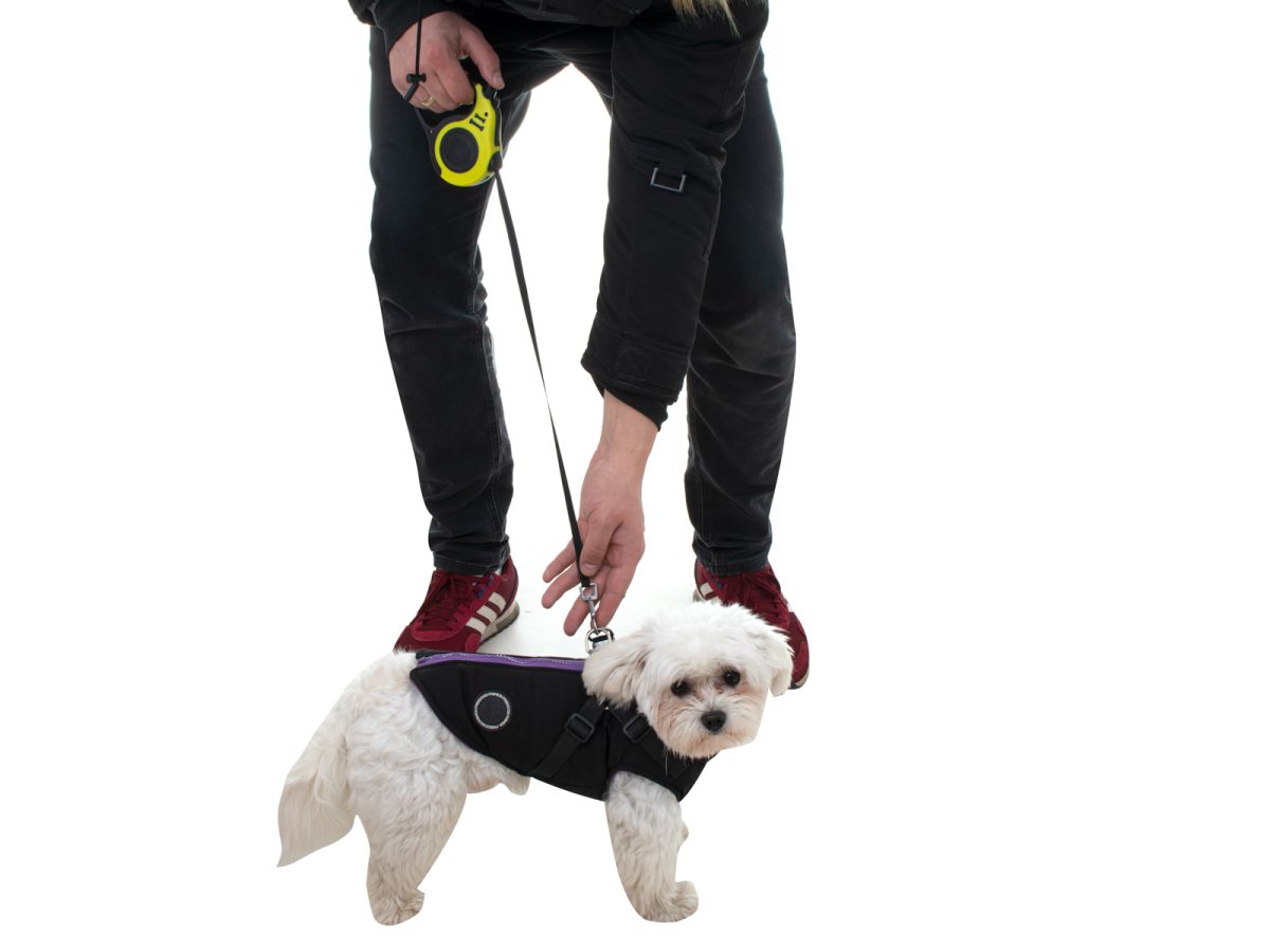 Lesa Retractabila Automata 3m lungime pentru caini de pana la 8kg - imagine 7