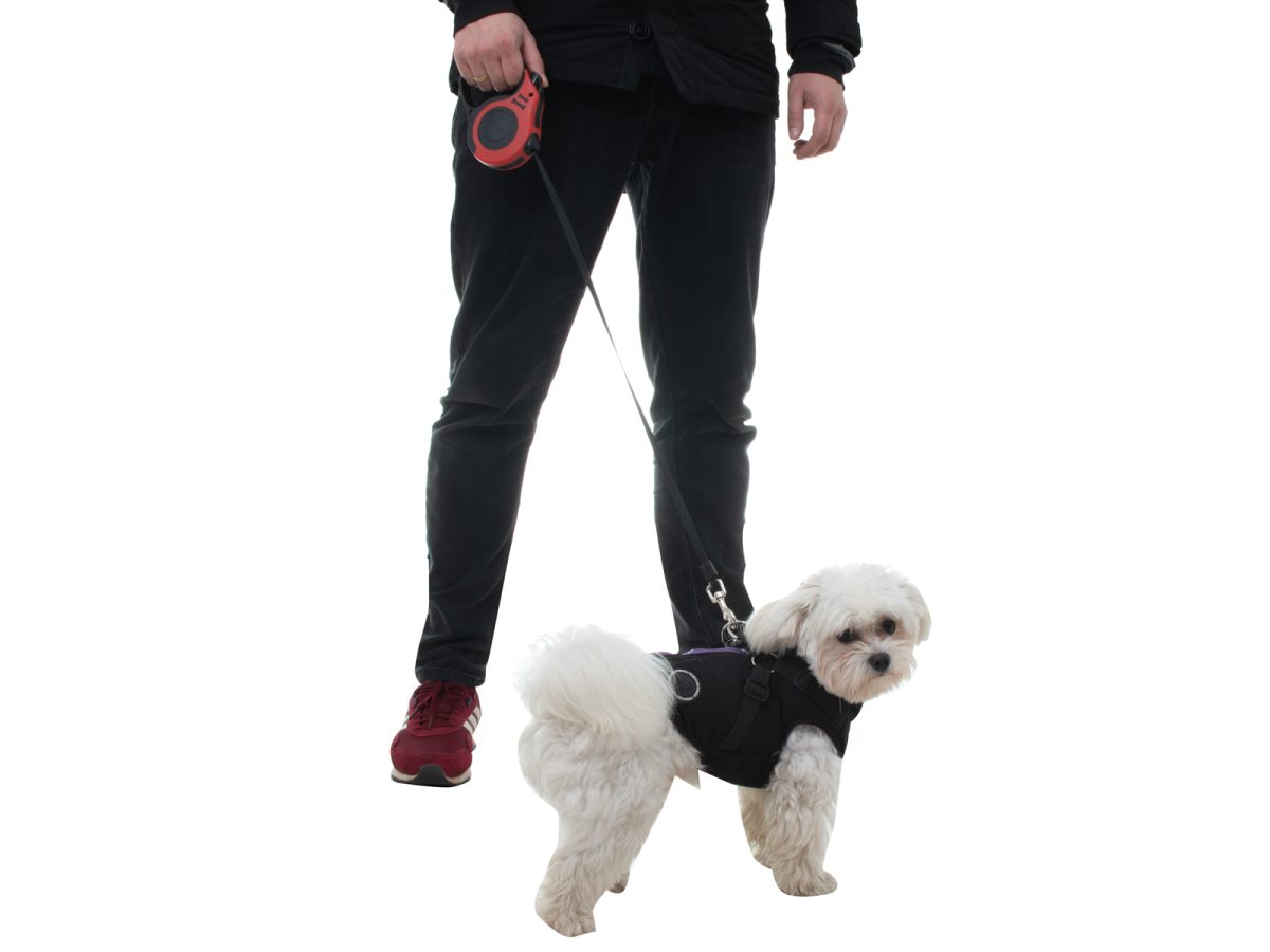 Lesa Retractabila Automata 5m lungime pentru caini de pana la 14 kg - imagine 6