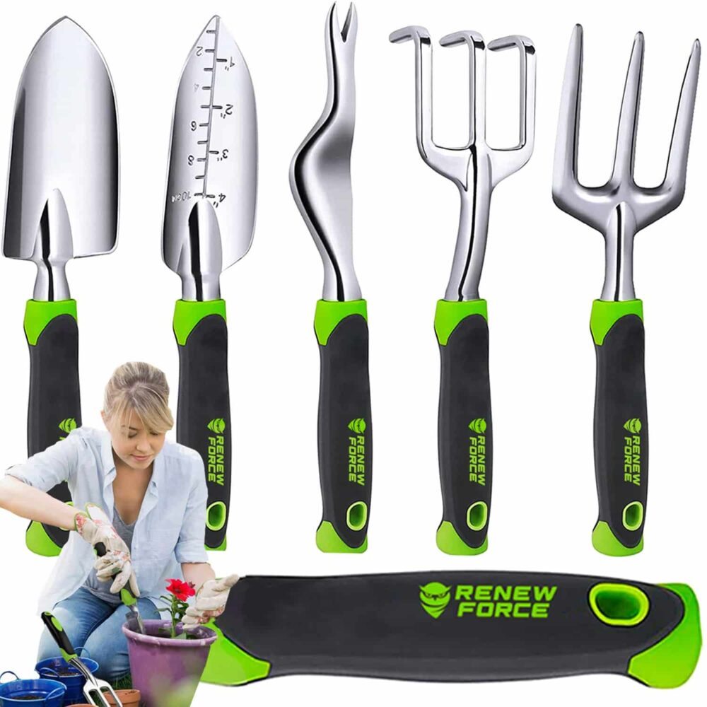 Acasa 17 e19a1be66dbdb1b11c27ea0bbc146e60 1000x1000 9