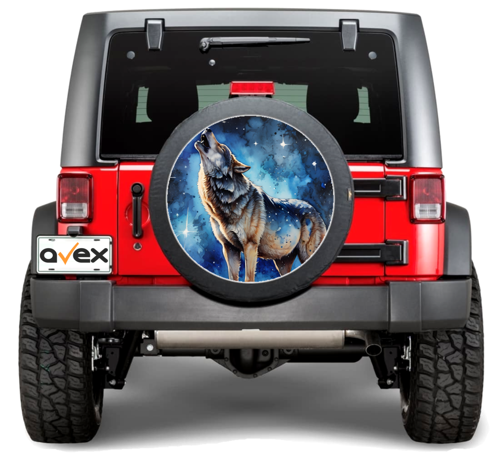 Acasa 14 roata rezerva01a scaled 1