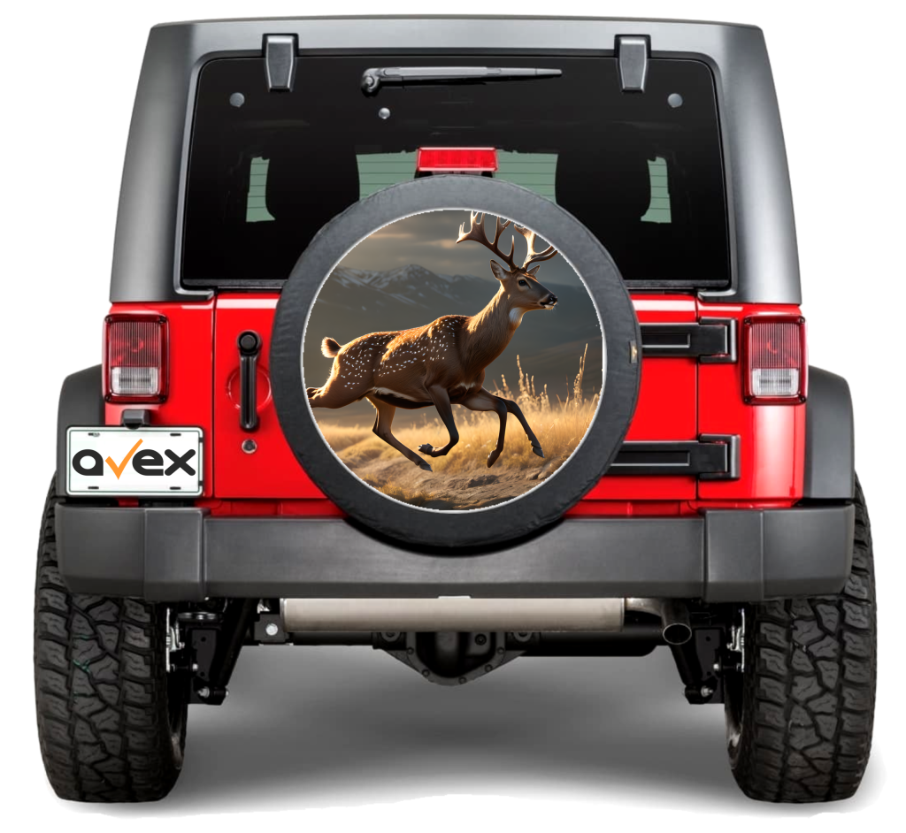 Acasa 9 roata rezerva06A scaled 1