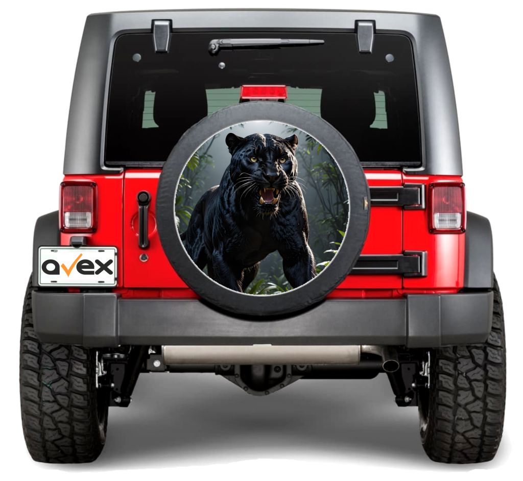 Acasa 11 roata rezerva11A scaled 1