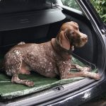 Prelata Impermeabila cu ochiuri metalice de prindere, dimensiune 6,0m x 8,0m, densitate 120g/m2, culoare verde - imagine 4