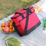 Geanta termoizolanta pentru picnic sau plaja, capacitate 16l, culoare Rosie - imagine 2