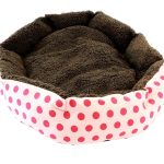 Pat pentru Caine sau Pisica Roz AG602A