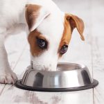 Castron Metalic pentru hranire animale de companie - 15cm