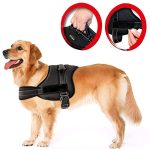 Ham pentru caini SENIOR DOG L (70 - 90cm) - imagine 5